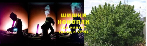соль ск Арсеньев