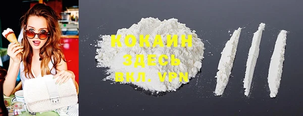шишки Армянск