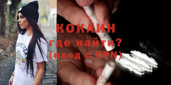 шишки Армянск