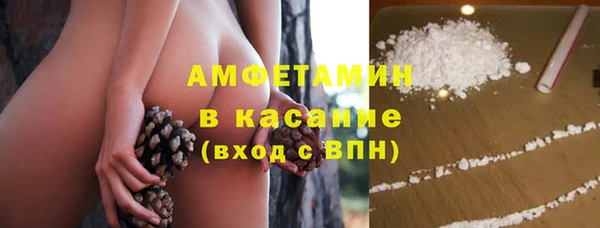 твердый Бородино