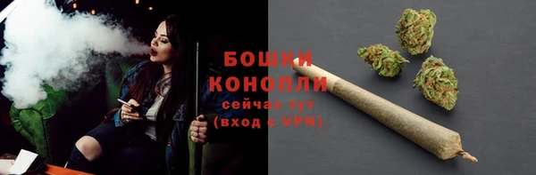 шишки Армянск