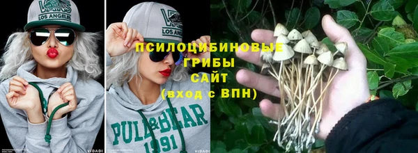 МДПВ Аркадак